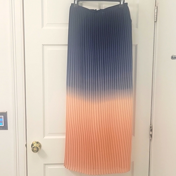 Women's Pleated Skirt - Picture 1 of 2